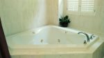 Master Bath w/ Jacuzzi Tub